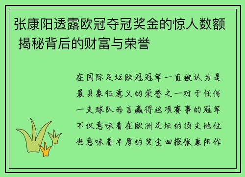 张康阳透露欧冠夺冠奖金的惊人数额 揭秘背后的财富与荣誉