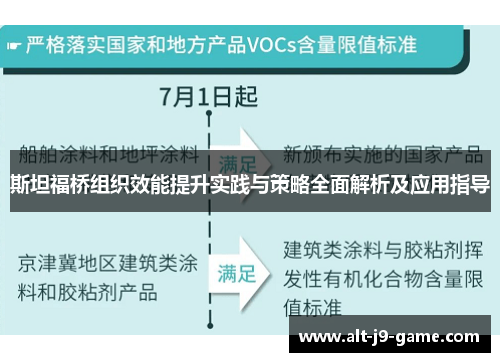 斯坦福桥组织效能提升实践与策略全面解析及应用指导