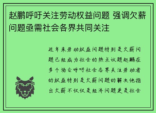 赵鹏呼吁关注劳动权益问题 强调欠薪问题亟需社会各界共同关注
